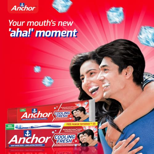 Anchor Red Cooling Fresh Gel Toothpaste 300Ggm (150gx2)