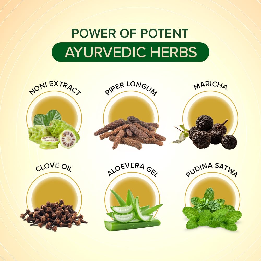 Apollo Noni Herbal Toothpaste 150g | Fluoride-Free & Sugar-Free Ayurvedic Formula | Natural Plaque & Tartar Removal | Fresh Breath & Gum Care | Whitening & Toothache Relief