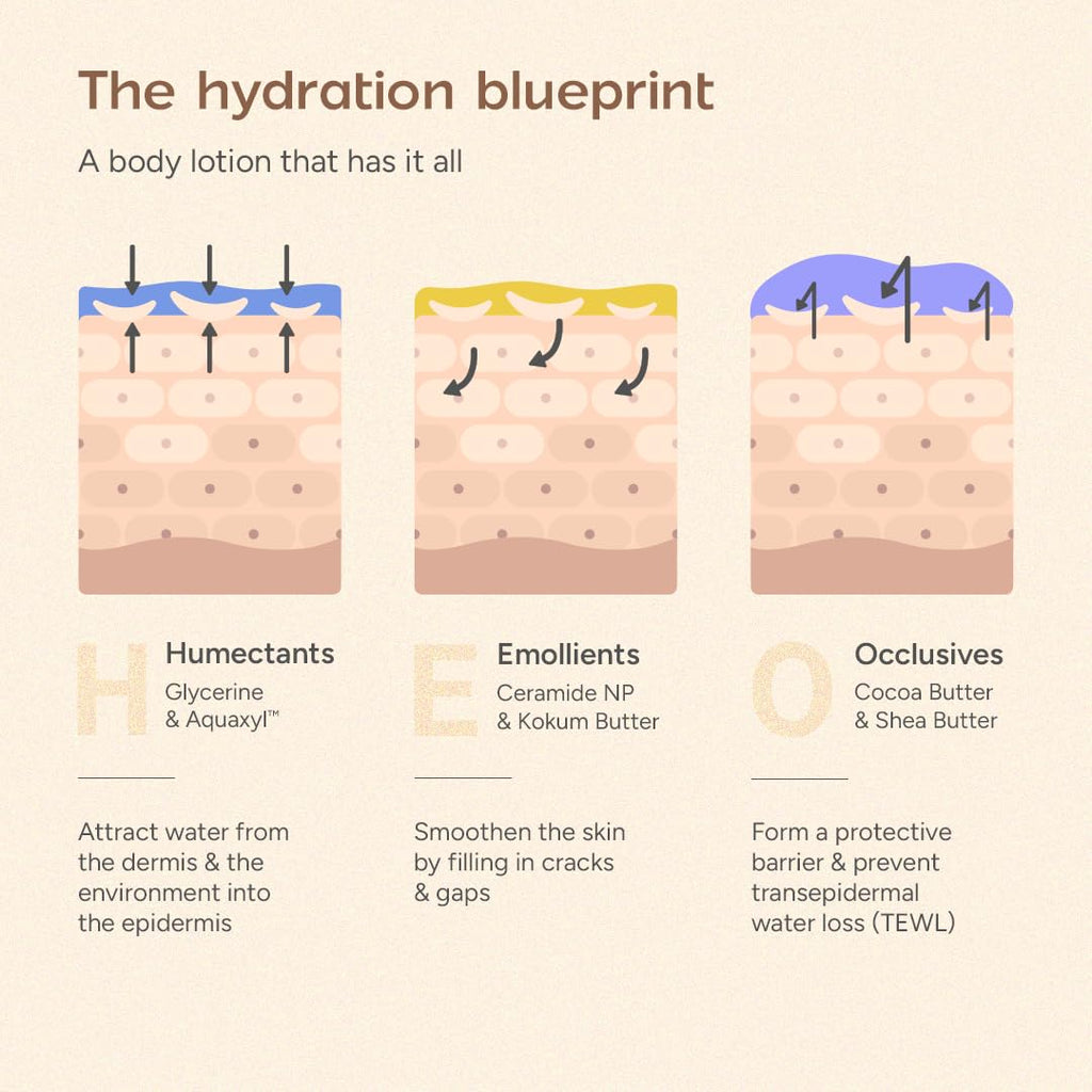 Arata Ceramide Body Lotion for Winter Dry Skin | Exfoliates Dead Skin | Non-Greasy Formula with Long-Lasting Hydration | Deep Nourishment with Shea Butter & Cocoa Butter | For Men & Women (200ml)