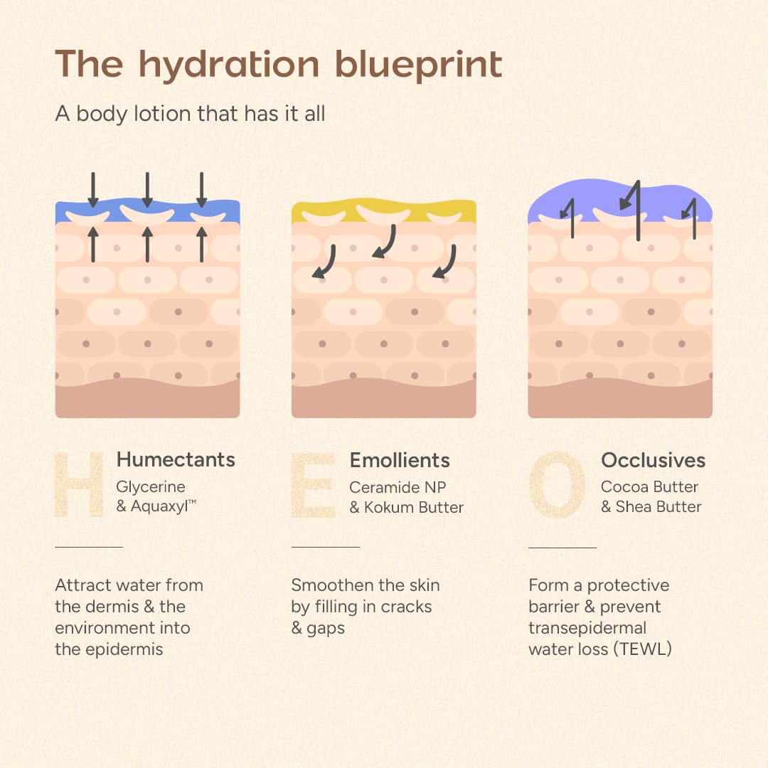 Arata Ceramide Body Lotion for Winter Dry Skin | Exfoliates Dead Skin | Non-Greasy Formula with Long-Lasting Hydration | Deep Nourishment with Shea Butter & Cocoa Butter | For Men & Women (200ml)