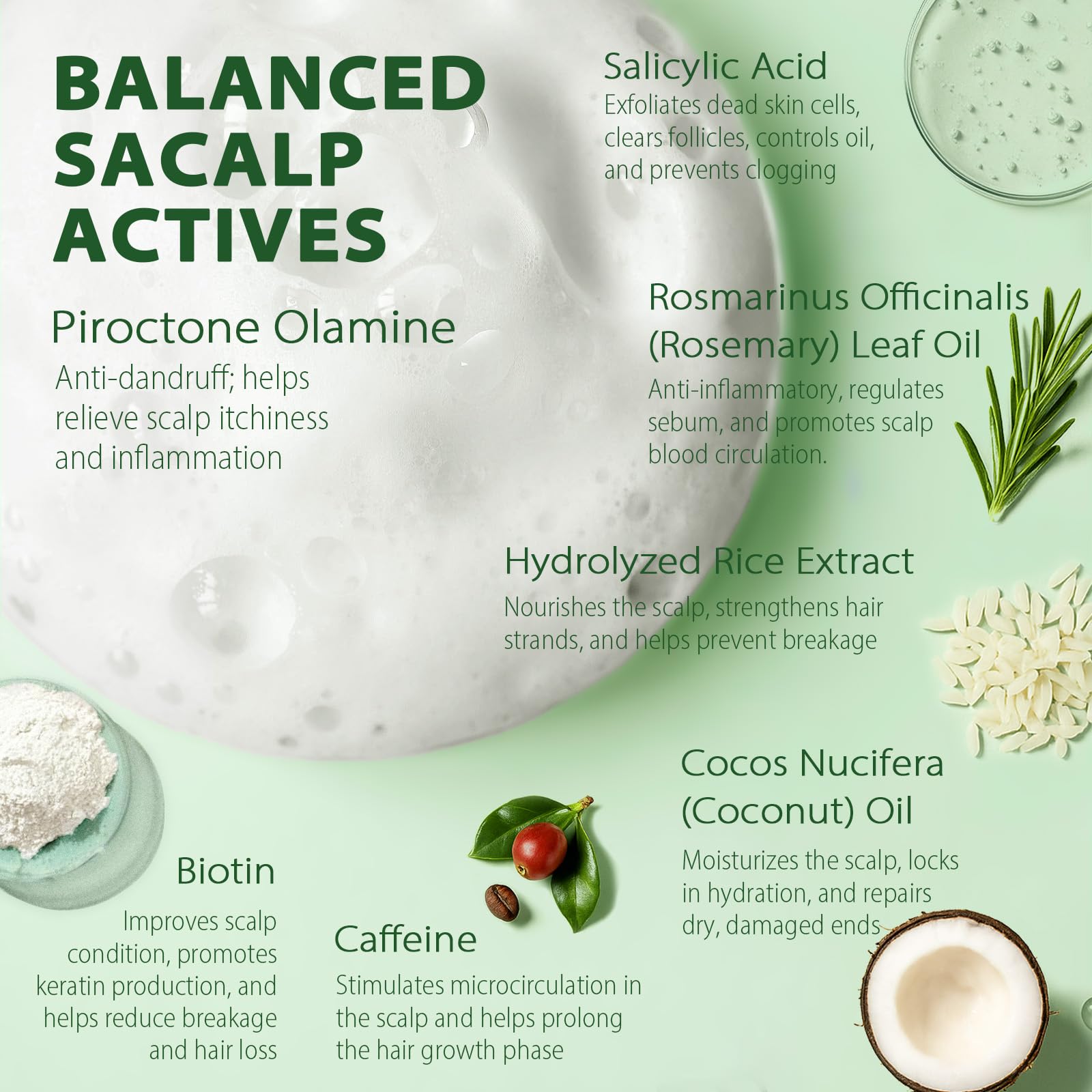 Antifungal Shampoo for Folliculitis and Seborrheic Dermatitis: Scalp Psoriasis Treatment, Dandruff & Itchy Scalp Relief with Salicylic Acid, Piroctone Olamine, Rosemary & Coconut Oil 8.8 fl.oz