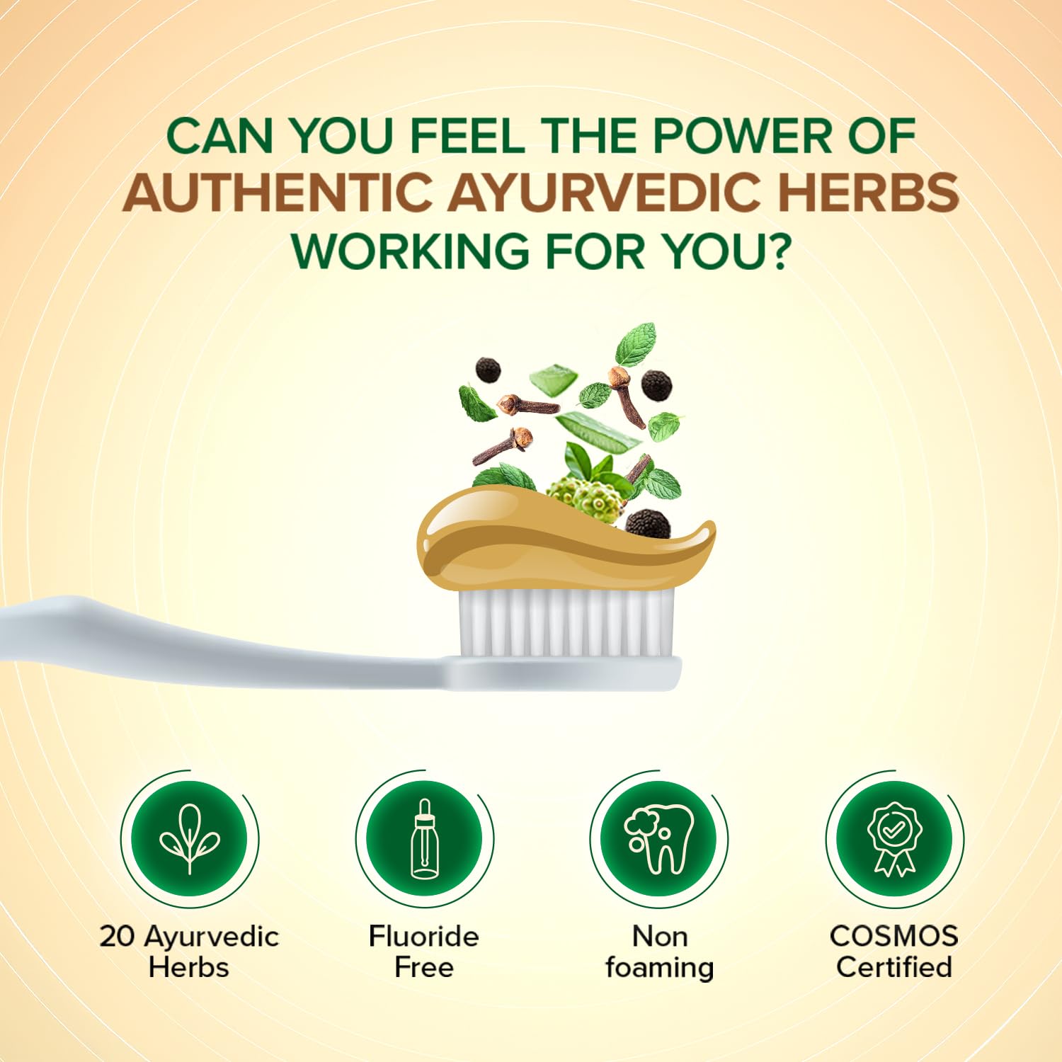 Apollo Noni Herbal Toothpaste 150g | Fluoride-Free & Sugar-Free Ayurvedic Formula | Natural Plaque & Tartar Removal | Fresh Breath & Gum Care | Whitening & Toothache Relief