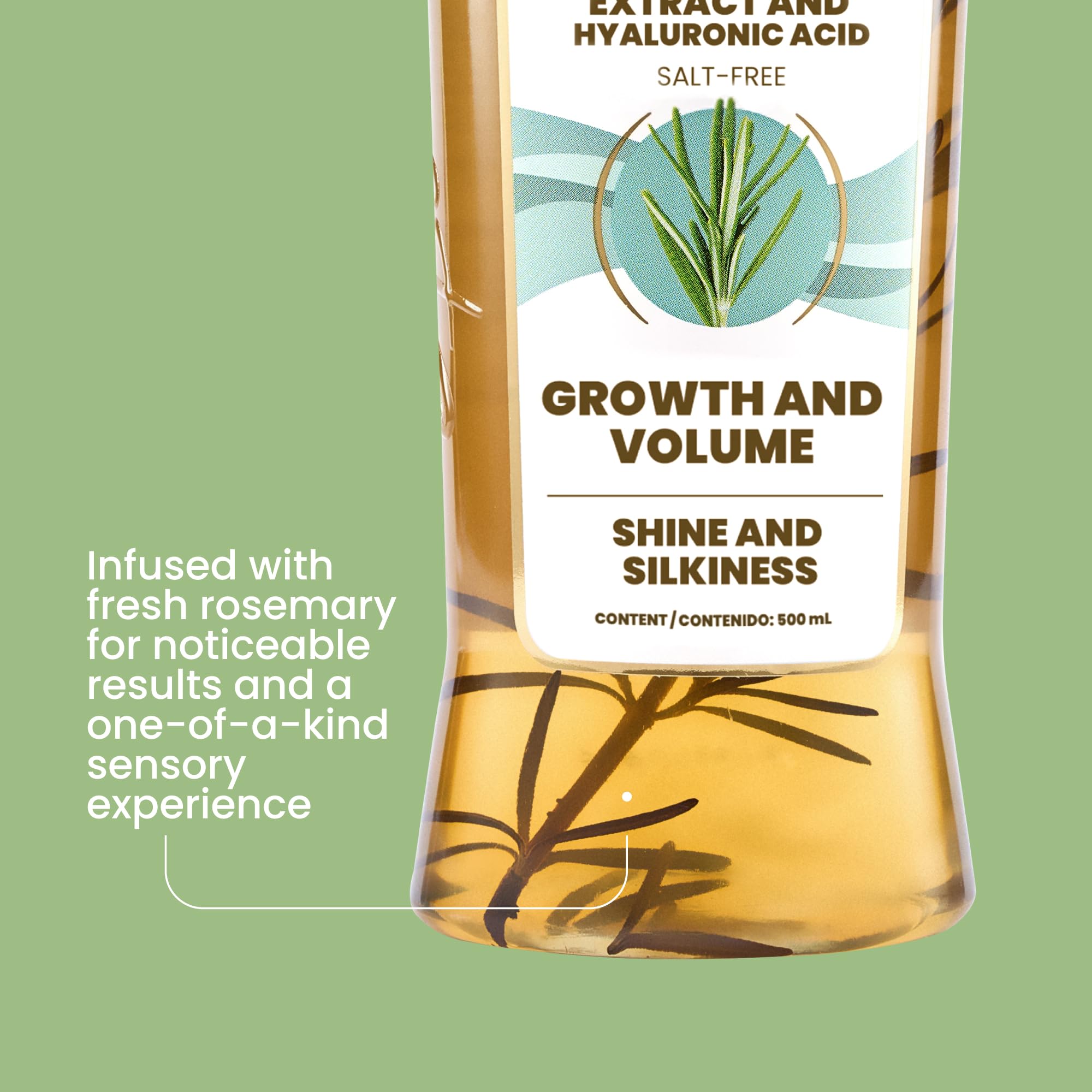 ANYELUZ Kit Duo Rosemary Shampoo + Mini Travel Size, With Onion Extract, Hyaluronic Acid and Rosemary