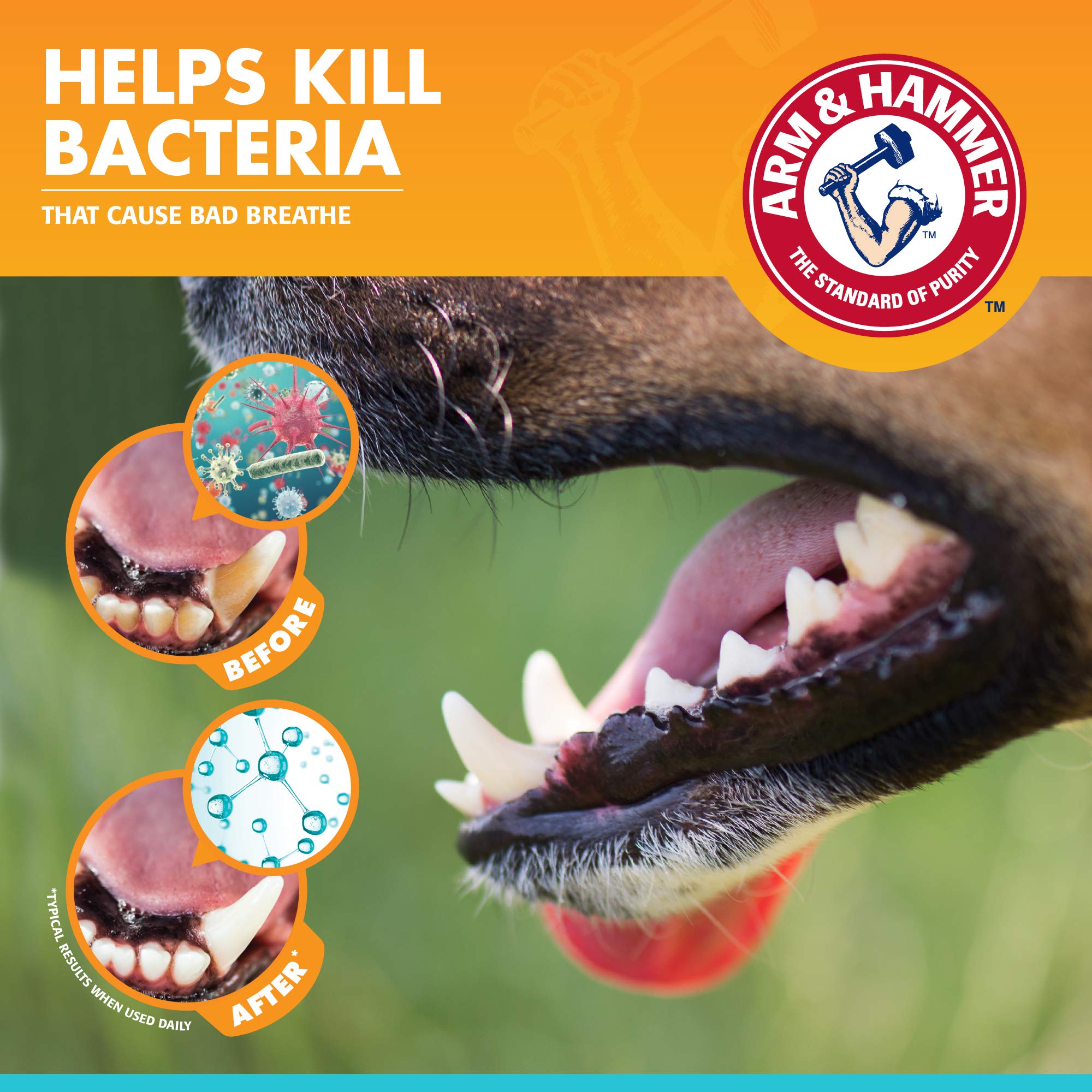 Arm & Hammer for Pets Fresh Breath Kit for Dogs | Contains Toothpaste, Toothbrush & Fingerbrush | Reduces Plaque & Tartar Buildup | Safe for Puppies, 3-Piece Kit, Vanilla Ginger Flavor