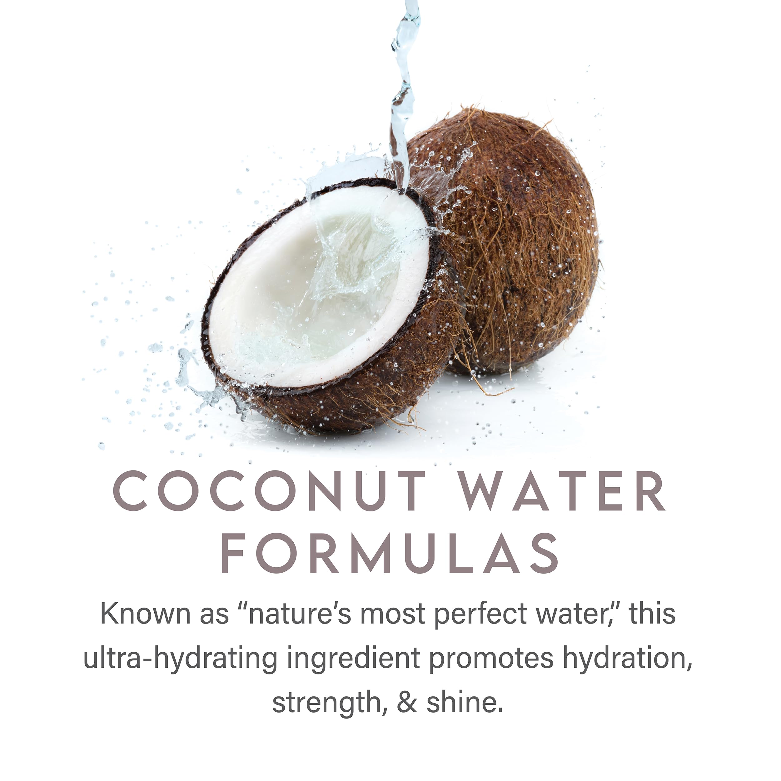 Aluram Coconut Water Daily Shampoo for Men and Women, Detoxifying Hydration and Volume for All Hair Types